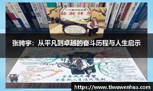 芒果体育直播官网