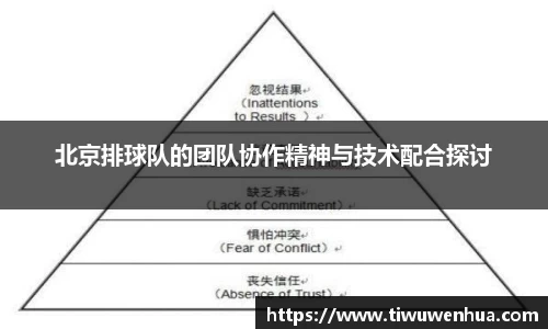 芒果体育官方网站