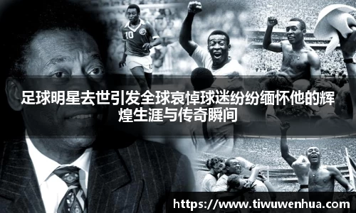 芒果体育官方网站