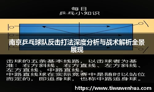 南京乒乓球队反击打法深度分析与战术解析全景展现