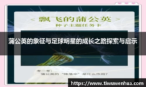 蒲公英的象征与足球明星的成长之路探索与启示
